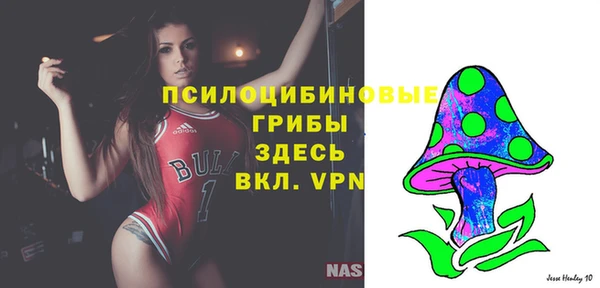 ГАЛЛЮЦИНОГЕННЫЕ ГРИБЫ Алзамай