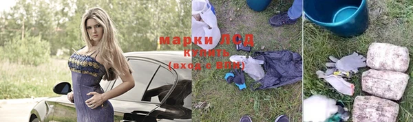 ПСИЛОЦИБИНОВЫЕ ГРИБЫ Алексин
