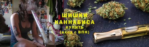 шишки Покров