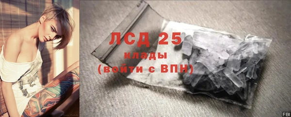 ГАЛЛЮЦИНОГЕННЫЕ ГРИБЫ Алзамай